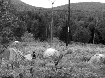 More than 10,000 people are estimated to have set up camp last month in the Green Mountain National Forest. Tracy Frisch photo