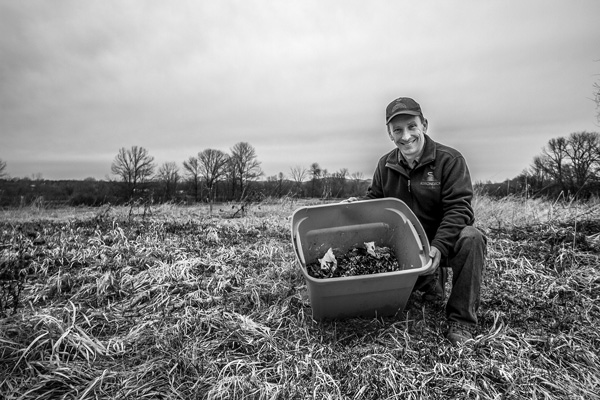 

Bill Richmond, owner of Adirondack Worm Farm in Kingsbury, N.Y., displays a bin in which red worms consume food wastes and other organic materials collected from area homes to produce compost. Joan K. Lentini photo