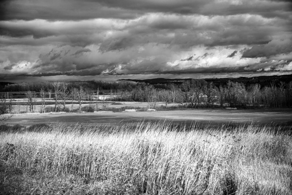 The vast expanse of open land known as the Washington County grasslands is home to 10 of the 11 grassland bird species that are considered in greatest need of conservation in New York. photo by Joan K. Lentini