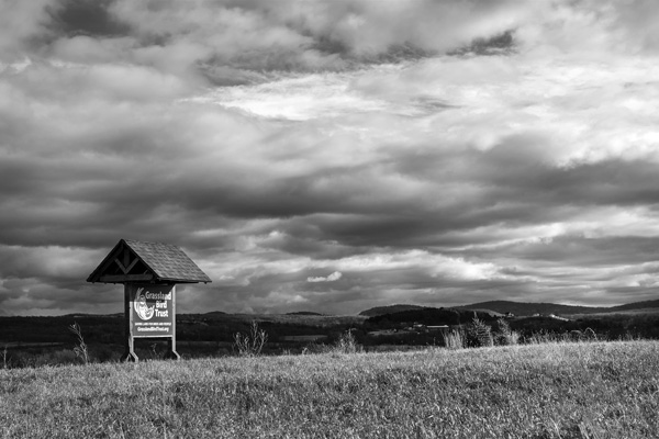 Joan K. Lentini photo