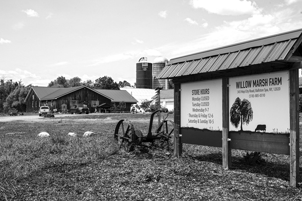 Willow Marsh Farm in Ballston, N.Y., had been a conventional dairy operation until a new generation of family owners began making cheese and Greek yogurt and shifted to retail sales of raw milk. Joan K. Lentini photo