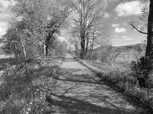 The Vermont portions of the D&H Rail Trail, which extends nearly 22 miles along the New York state line, has been resurfaced with crushed stone, making for a smoother ride. This view is in Rupert, Vt. Don Lehman photo